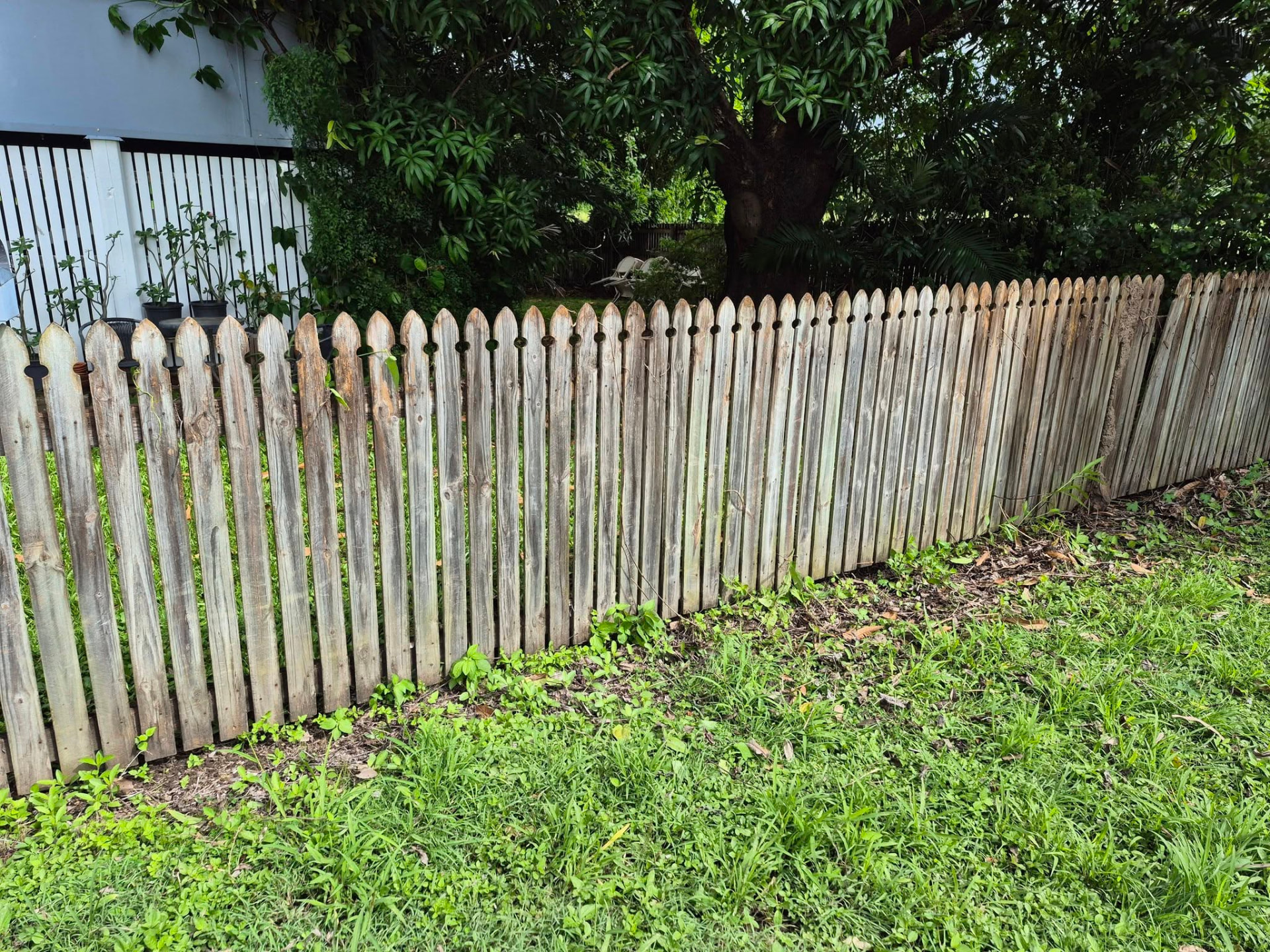 After: the same Townsville fence line cleared of vines and tidied by the maintenance team